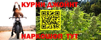 шишки Можайск